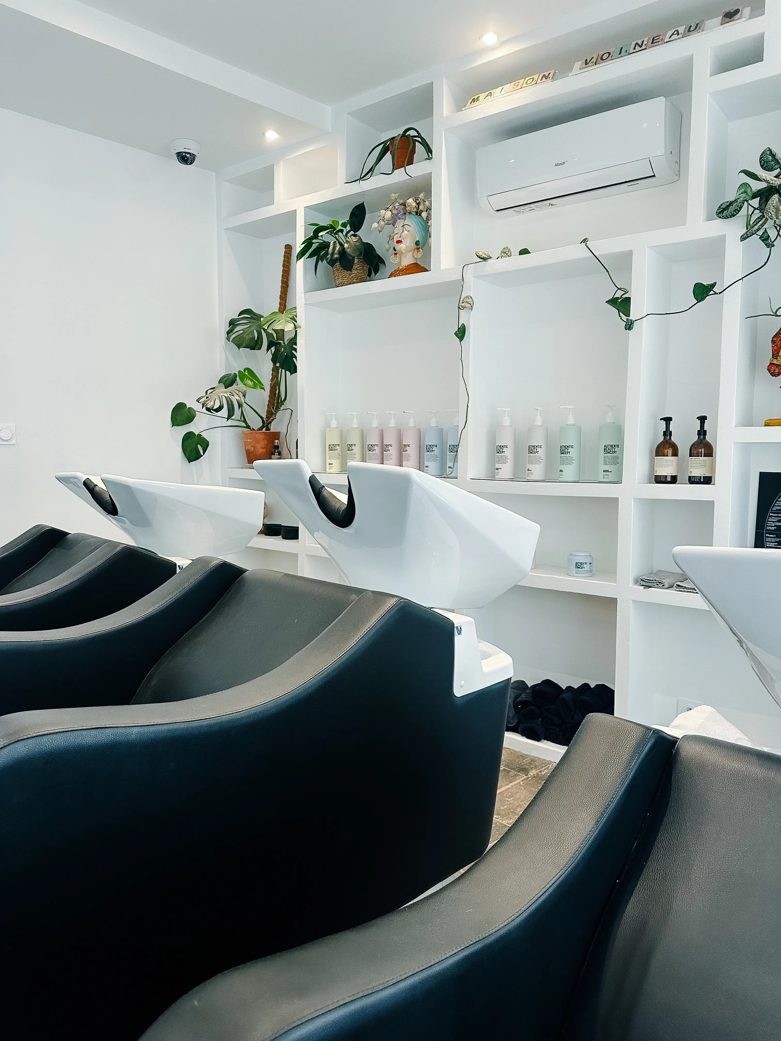 Salon's picture